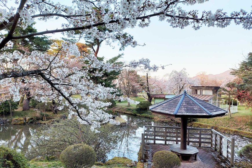 アメリカの花見ワシントン-dcメリーランドバージニアの最も美しい桜-04