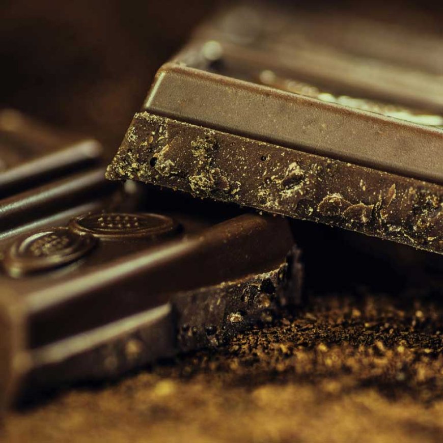 フィリピンカカオ世界最高峰のチョコレートを創る-08
