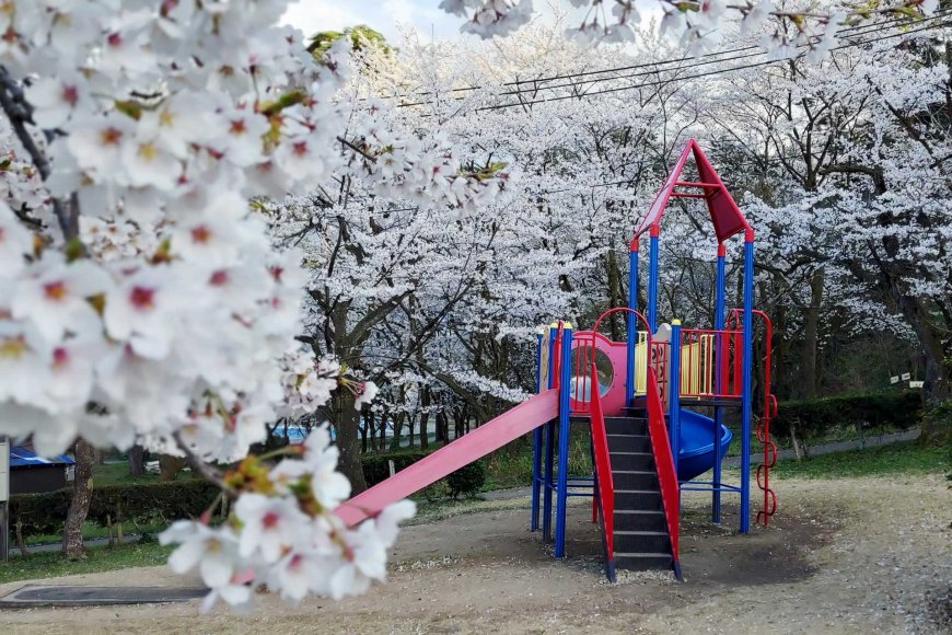 family-adventures-during-golden-week-in-japan-07