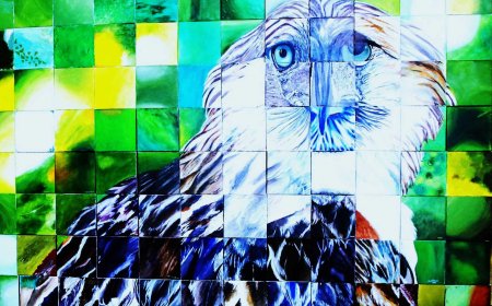 Painting the Philippine Eagle to Unite Filipinos Worldwide