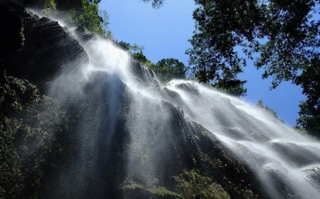 The Best Philippine Wildlife and Nature Experiences: Exploring the Country's Natural Wonders