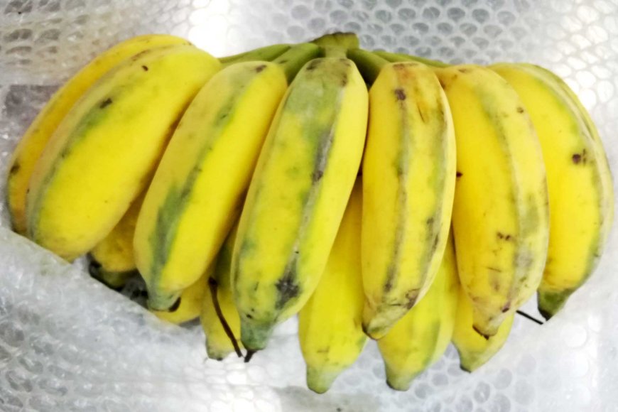 banana-cue-the-sweet-street-snack-that-defines-filipino-merienda-04