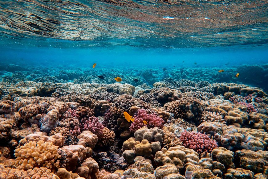why-love-the-philippines-10-reasons-this-tropical-paradise-captures-hearts-07