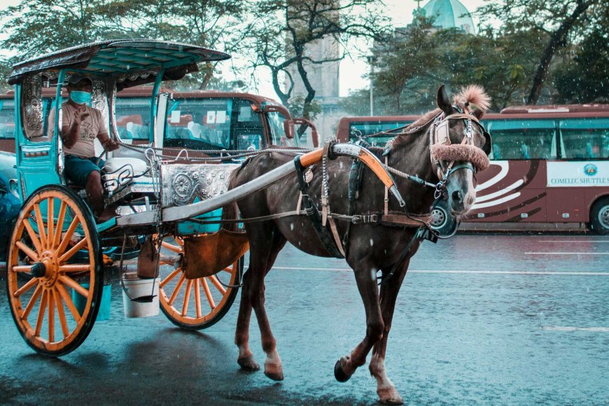 10-instagram-worthy-spots-in-the-philippines-13