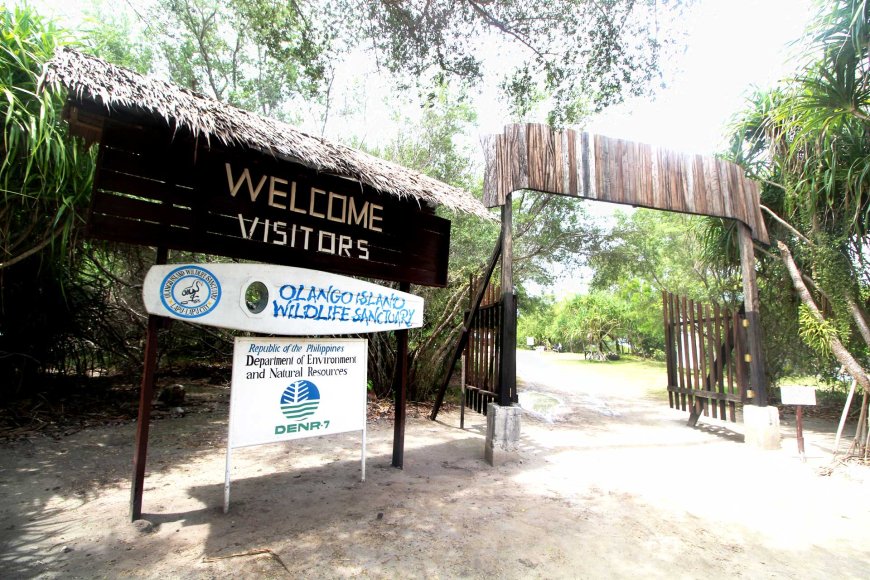 the-best-philippine-wildlife-and-nature-experiences-exploring-the-countrys-natural-wonders-05