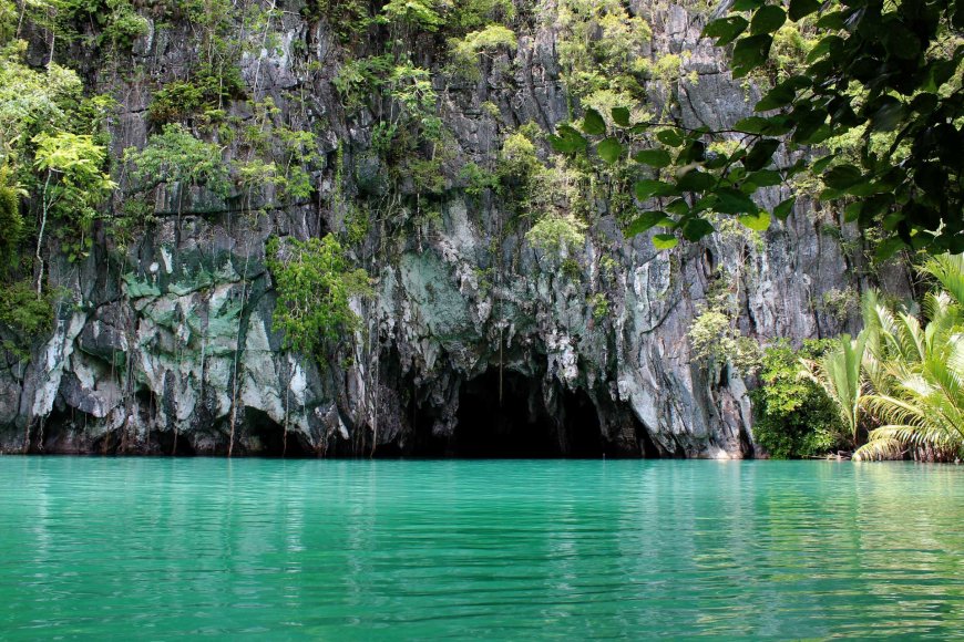 the-best-philippine-wildlife-and-nature-experiences-exploring-the-countrys-natural-wonders-06