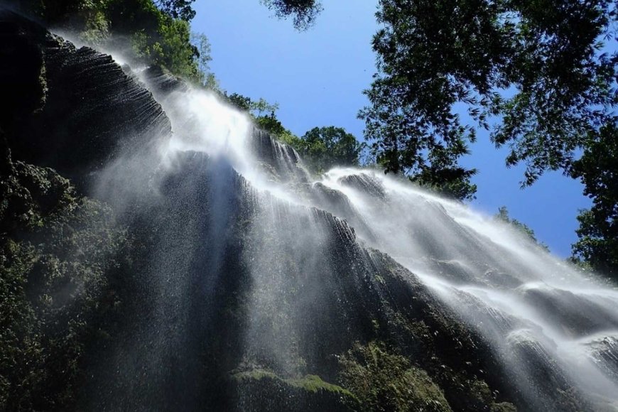 The Best Philippine Wildlife and Nature Experiences: Exploring the Country's Natural Wonders