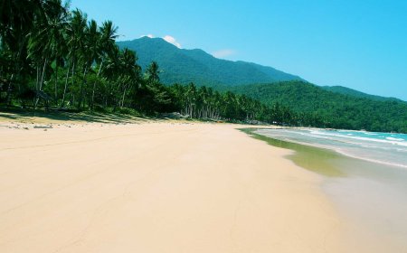 Palawan: The Center of Eco-Tourism in the Philippines