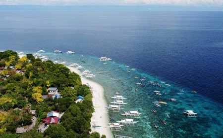 Bohol: A Gem in the Philippines' Island Paradise