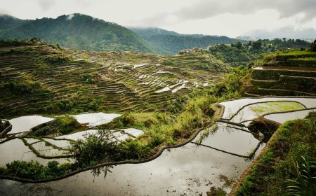 Sagada: The Tranquil Charm of the Mountain Province