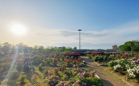 Japanese Summer Heat Remedies That Also Work in the Philippines