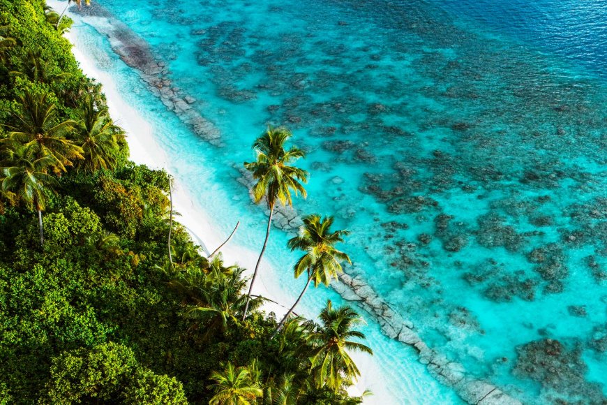 アポ島フィリピンの手つかずの海洋保護区-06