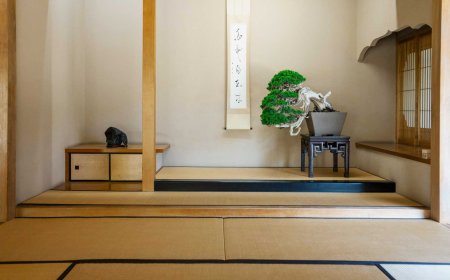 Tatami 畳: The Japanese Flooring Tradition