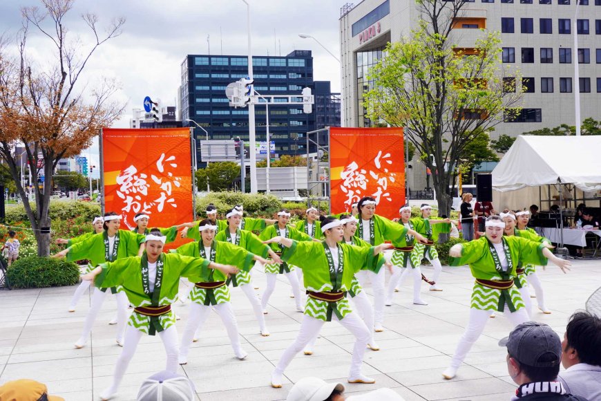 新潟総おどり祭-07