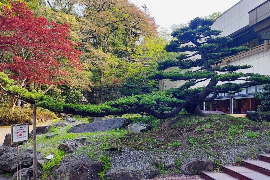 日本における少ないことは豊かなことシンプルさの美学-03