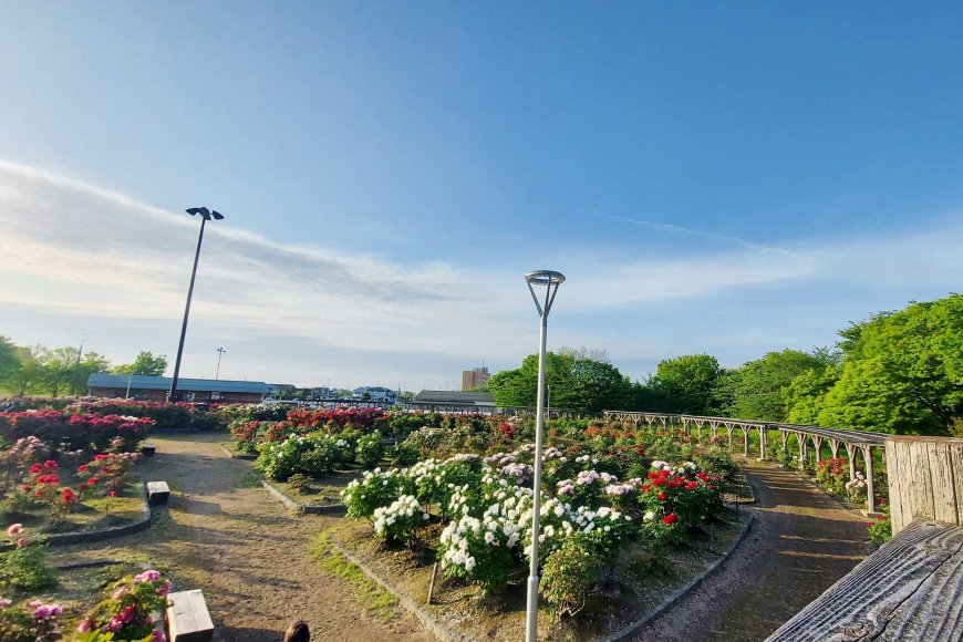 日本における少ないことは豊かなことシンプルさの美学-09