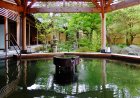 Ang Onsen (温泉) Baths sa Japan