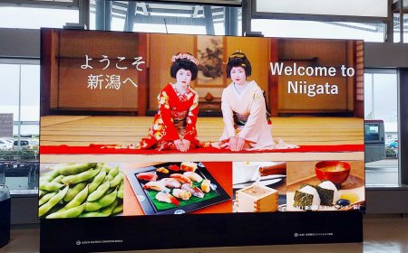 Hidden Gems in Niigata: Places Only Locals Know