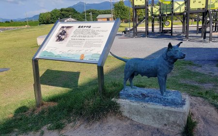 Tama-ko: The Heroic Shiba Inu of Japan’s Snow Country