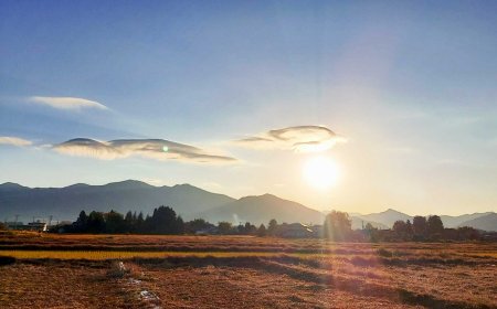 Mono no Aware (物の哀れ): The Beauty of Impermanence in Everyday Life