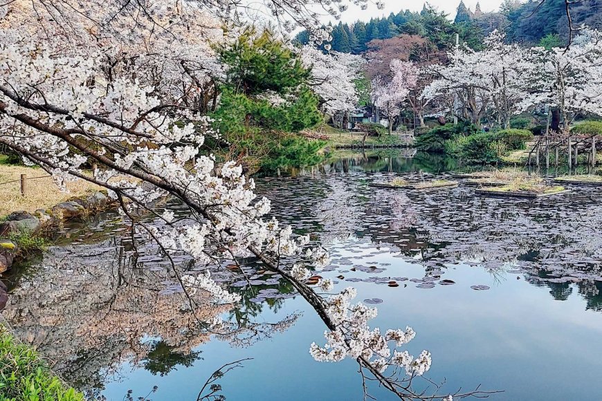 hidden-gems-in-niigata-places-only-locals-know-05