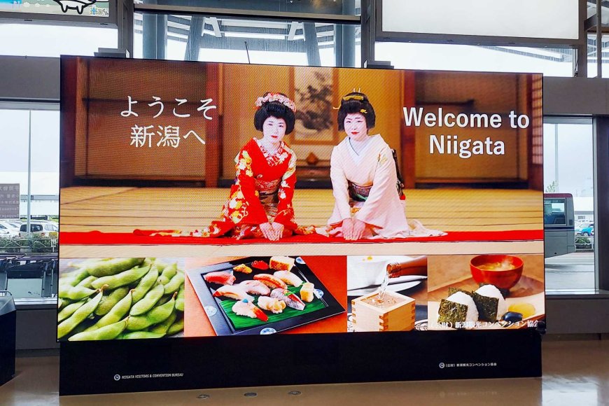 Hidden Gems in Niigata: Places Only Locals Know