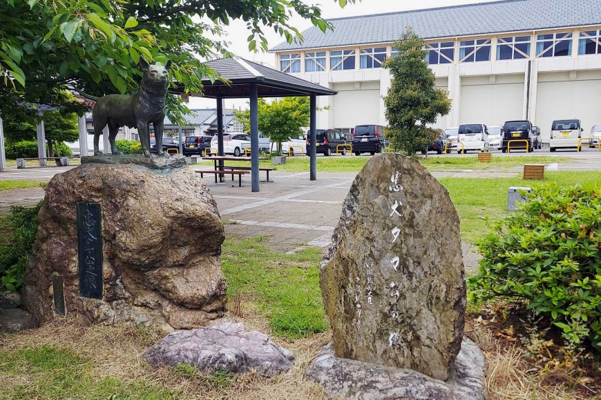 tama-ko-ang-bayaning-shiba-inu-ng-snow-country-ng-japan-03