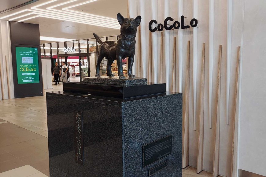 tama-ko-ang-bayaning-shiba-inu-ng-snow-country-ng-japan-04