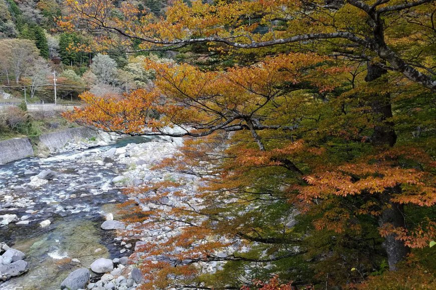 autumn-reflections-the-beauty-of-letting-go-04