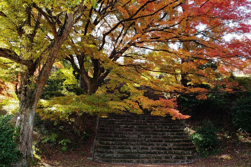 autumn-reflections-the-beauty-of-letting-go-05