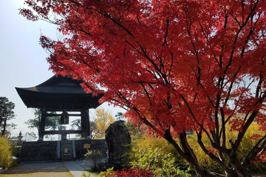 autumn-reflections-the-beauty-of-letting-go-06