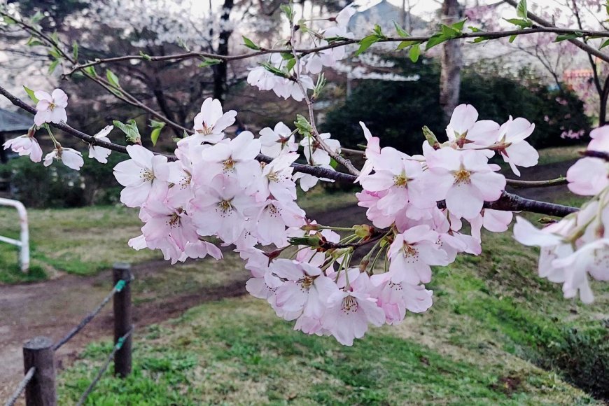 wabi-sabi-侘寂-the-quiet-beauty-of-imperfection-04