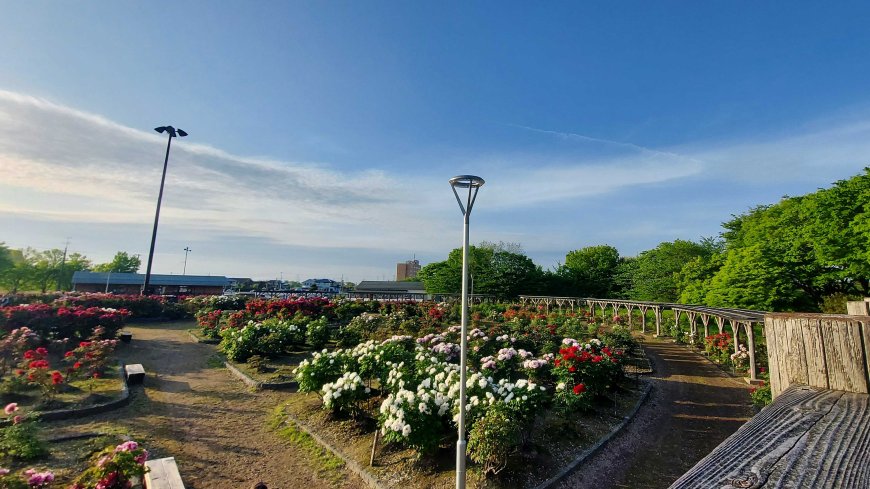 mono-no-aware-物の哀れ-the-beauty-of-impermanence-in-everyday-life-02