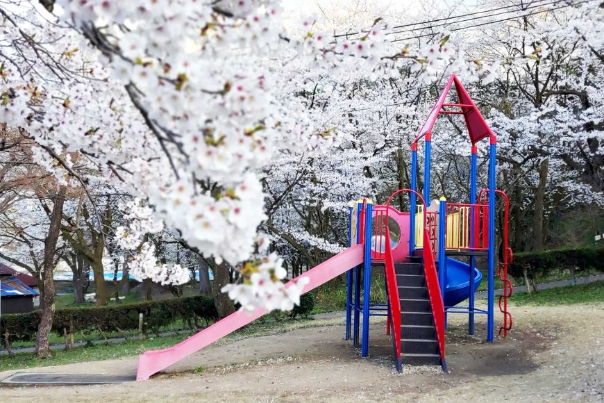 mono-no-aware-物の哀れ-the-beauty-of-impermanence-in-everyday-life-03