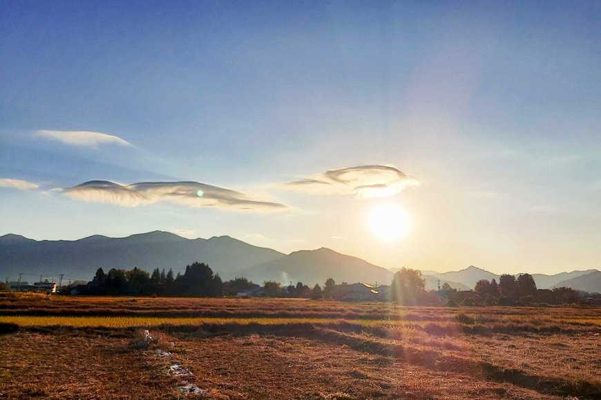 Mono no Aware (物の哀れ): Ang Pagtanggap sa Katotohanan ng Pagiging Panandalian