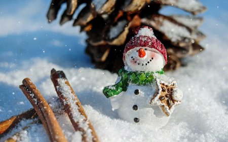 Best Places to Experience a White Christmas in Japan