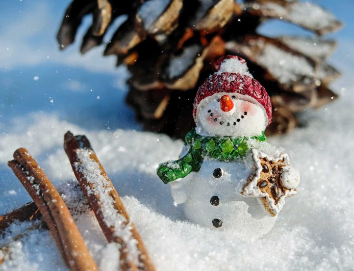 Magagandang Lugar para Makaranas ng White Christmas sa Japan
