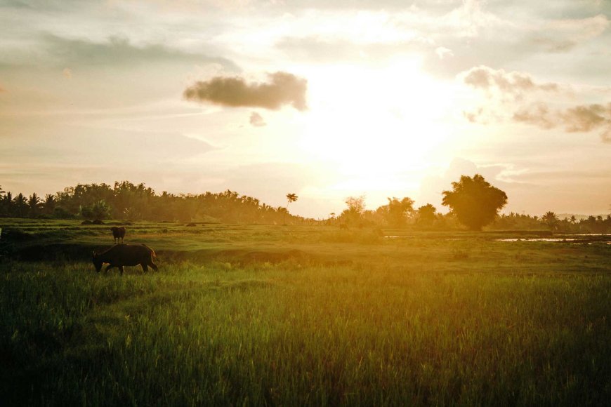 フィリピン旅行で使える日本人が覚えておくべき20の超便利タガログ語フレーズ-07