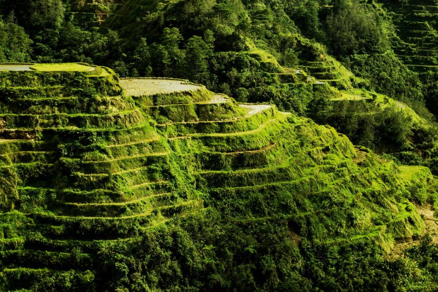 フィリピン旅行で使える！日本人が覚えておくべき20の超便利タガログ語フレーズ