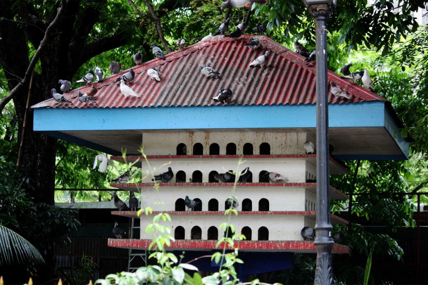 why-nostalgia-hits-harder-in-a-foreign-land-05