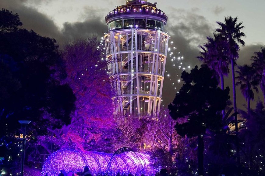 winter-travel-in-japan-illuminations-and-festivals-07