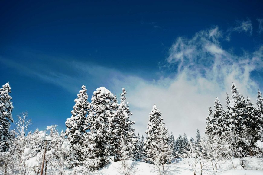 best-places-to-experience-a-white-christmas-in-japan-05