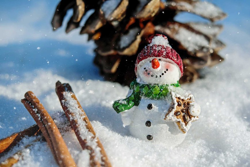 Best Places to Experience a White Christmas in Japan