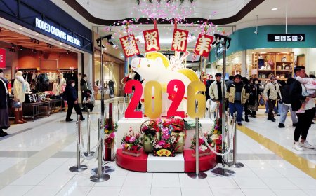 Why Nipino Stories Matter More Than Ever in 2026