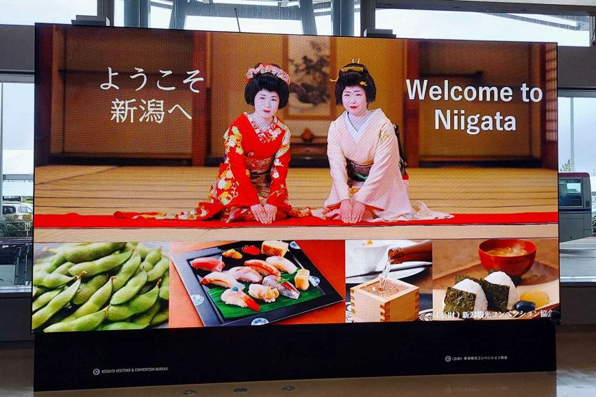 from-rice-to-sake-in-japan-how-japan-turns-rice-into-world-class-sake-05