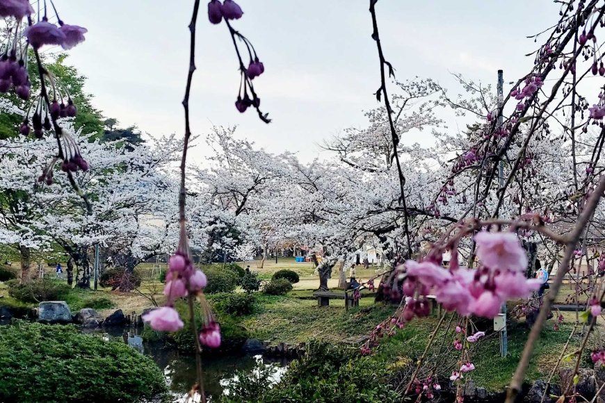 why-japan-takes-beginnings-seriously-lessons-the-world-can-learn-07