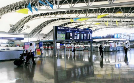 How AI Is Changing the Japan Immigration Process