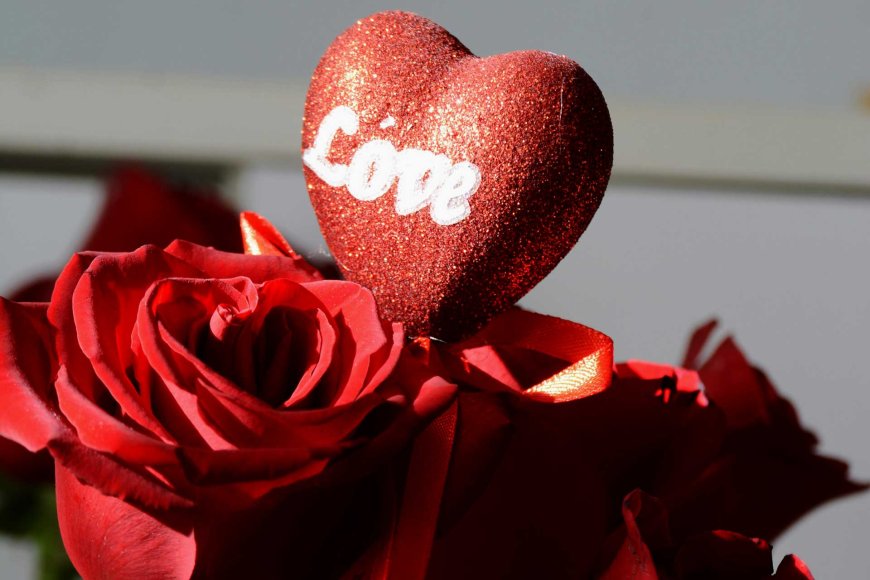 february-the-month-of-love-have-you-found-a-valentines-date-yet-07