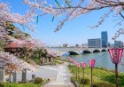 Pinakamagandang Hanami Spots sa Niigata (2026 Guide)