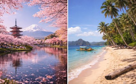 The Quiet Beauty of Japanese Spring Compared to Philippine Summers